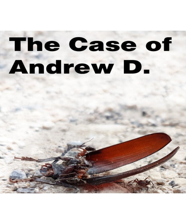 The Case of Andrew D. Steam Key GLOBAL